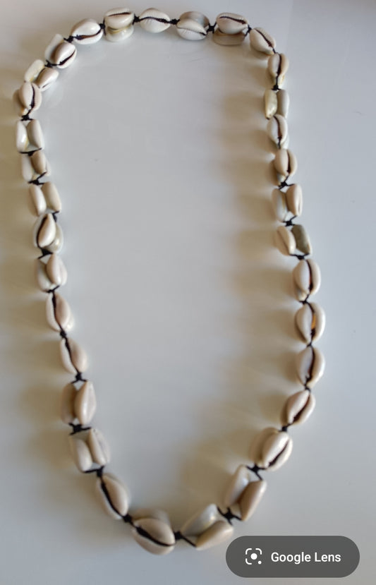 collier cauris